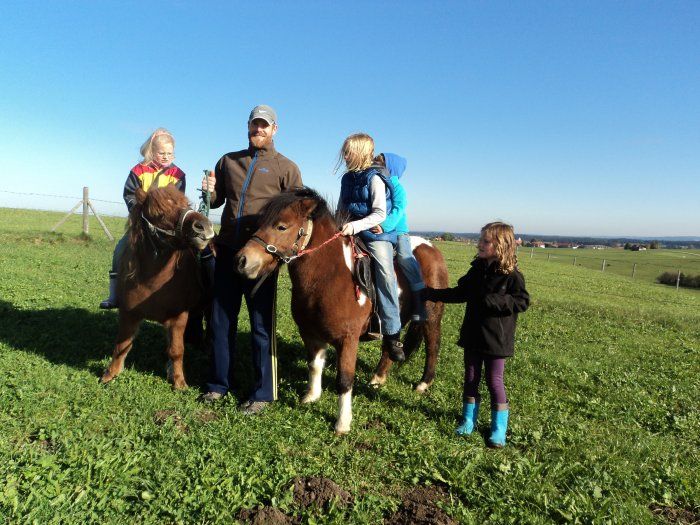 Unsere Ponys Cheyenne und Fjuri