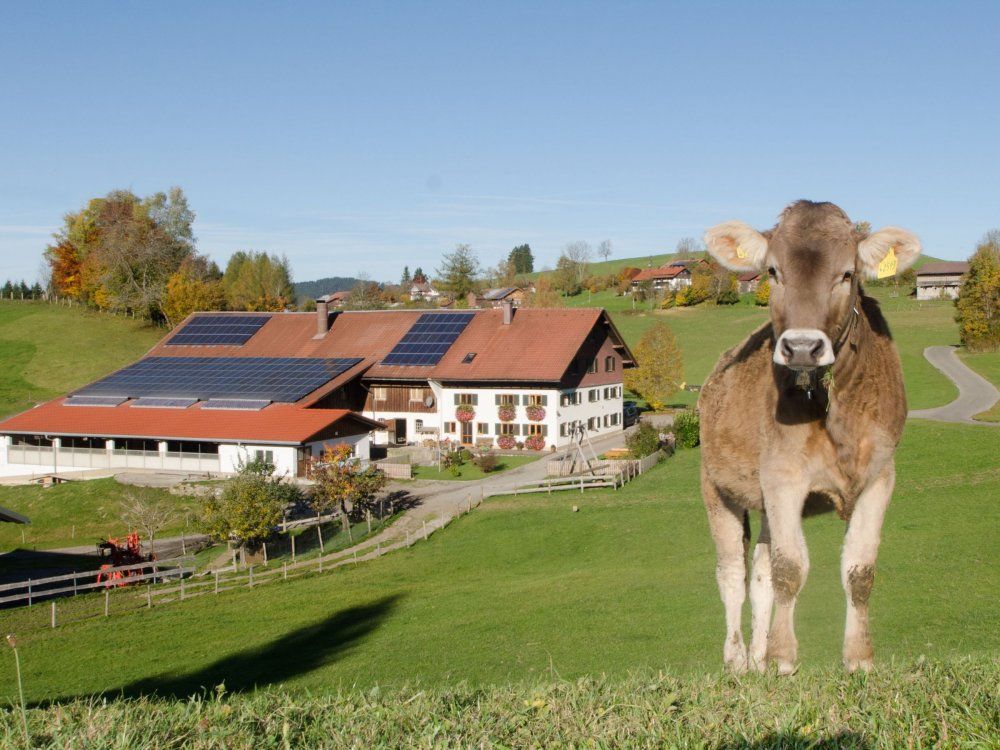 Ihr Ferienhof