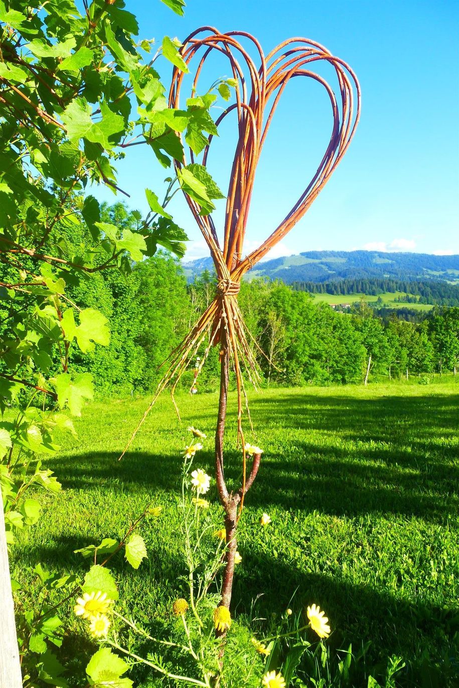 Gartenimpression