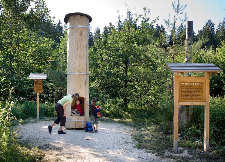 Erlebnisstation am Kneipp Waldweg