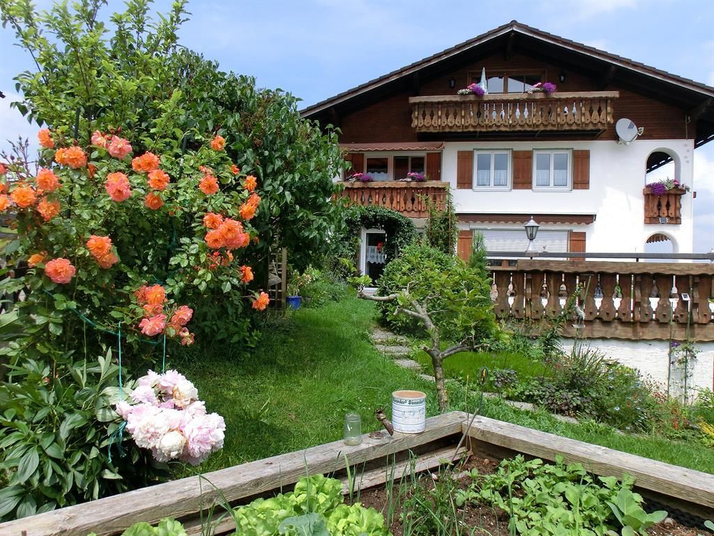 es blühen die Rosen