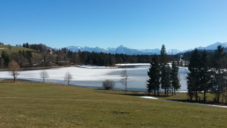 Schwaltenweiher im Winter