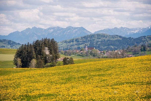 14. ABK Allgäuer Radltour 2025 - Pfronten - Genuss-Radrunde