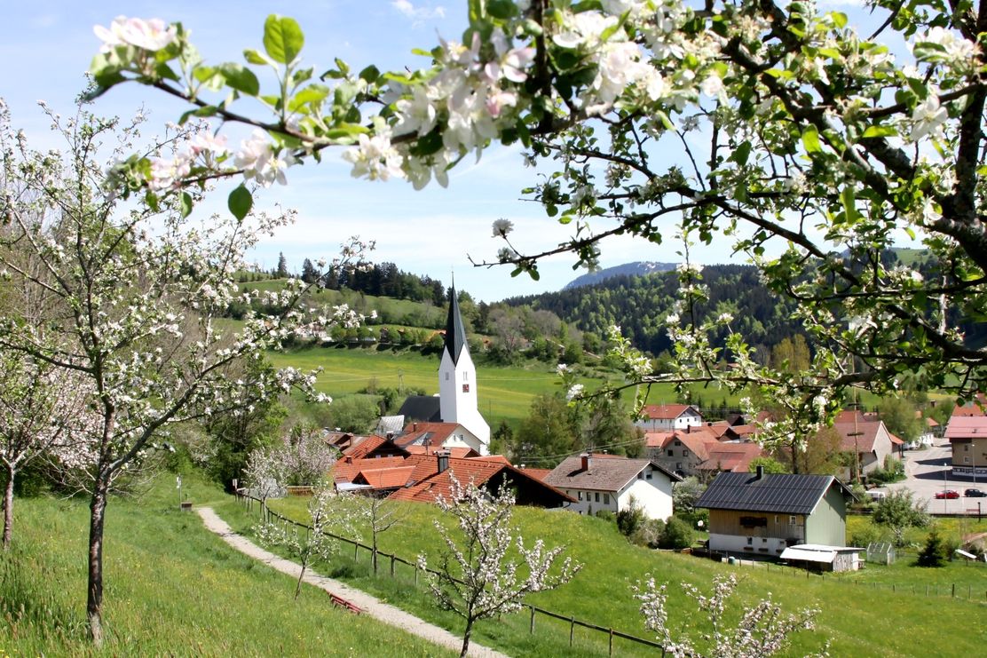 Missen-Luimweg-Goldbergalpe-Wiederhofen-Kreuz Ochsenberg-Hölle-Missen