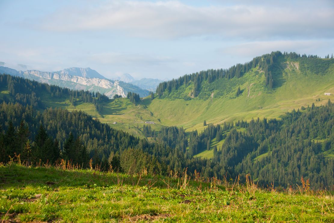 Aussicht am Gelbhansekopf bei Balderschwang