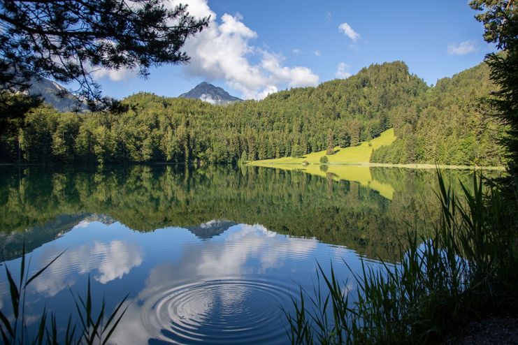Der Alatsee bei Pfronten im Allgäu