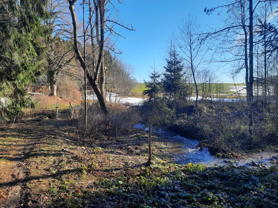 Bachlauf Kenels Buchenberg