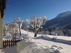 Ausblick Terrasse