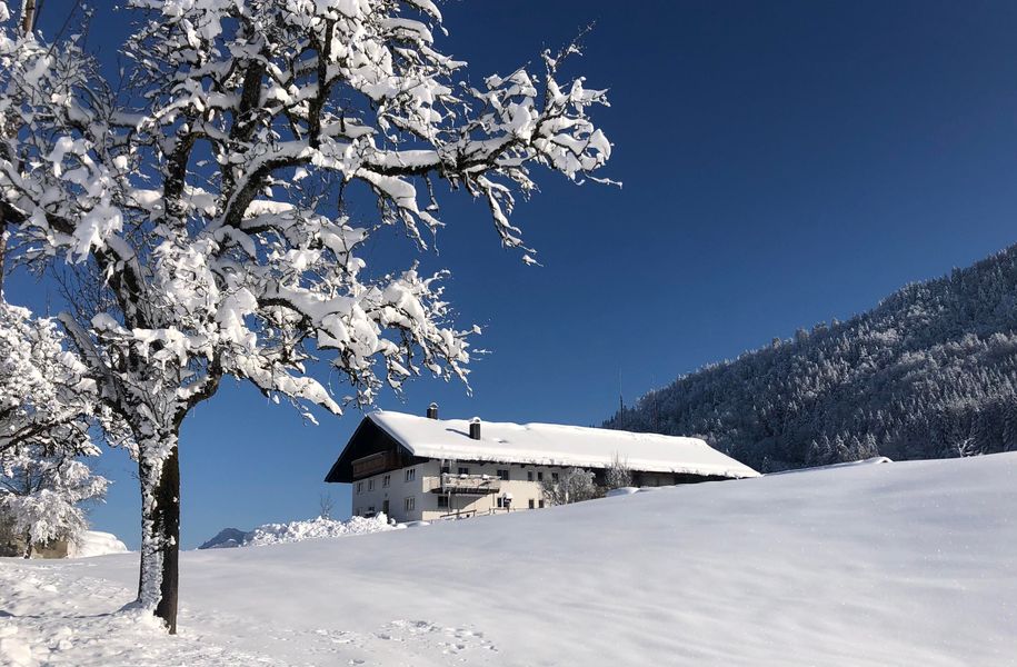 Ferienhof im Winter