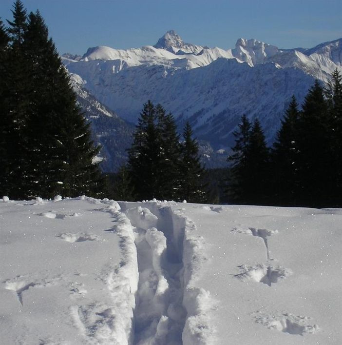 Skitour