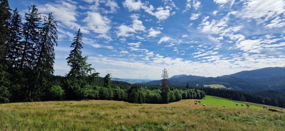 Hüttenwanderung zum Naturspielplatz im Großen Wald