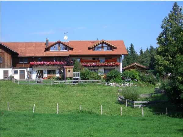 Haus