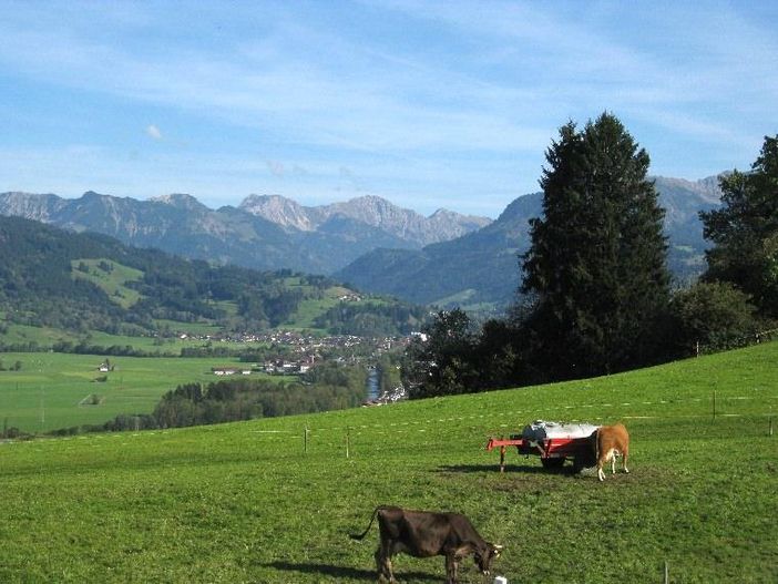 Panoramablick