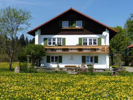 Ferienwohnung Waldblick