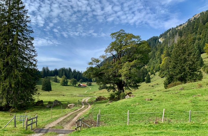 Naturpark Nagelflugkette