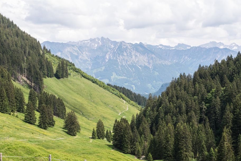Die Alpe Zunkleiten liegt im Bolgental