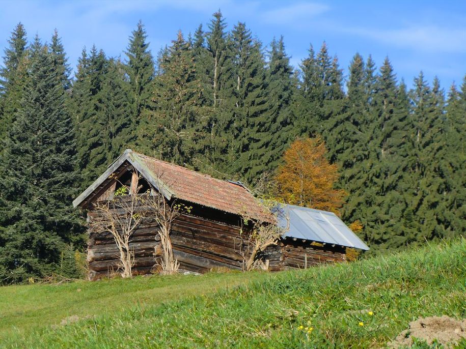 Umgebung