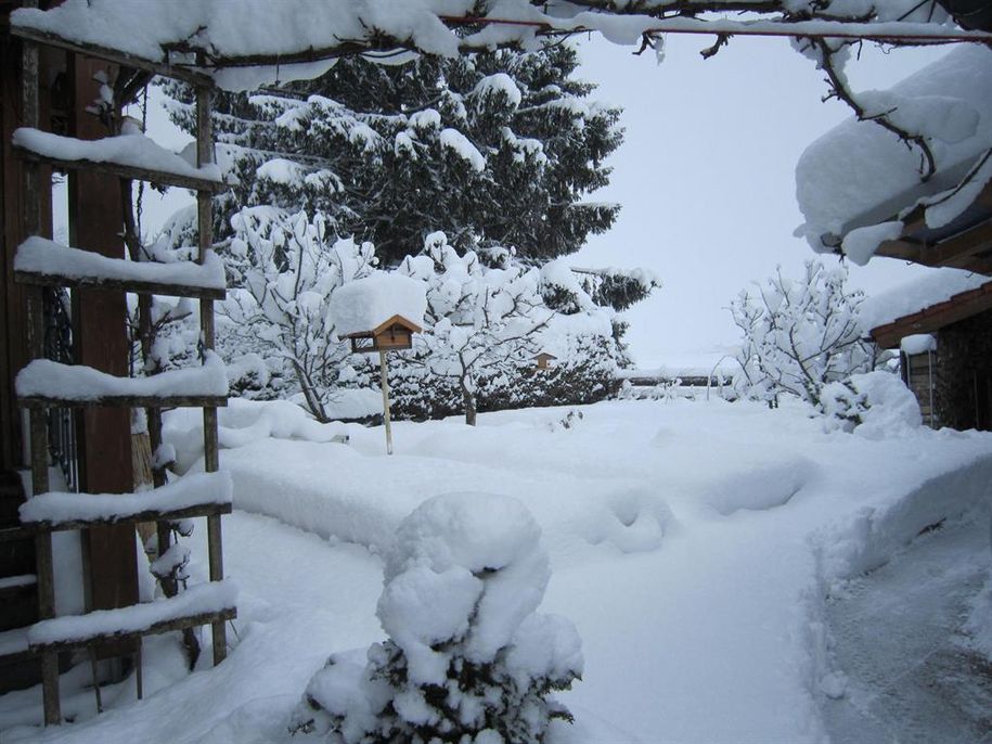Garten Winter