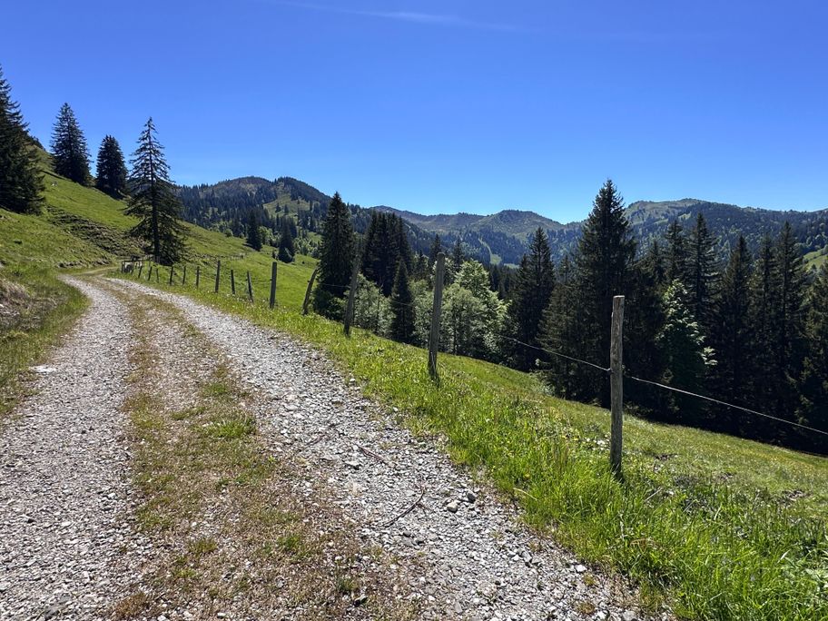 Hörnertour oberhalb des Gunzesrieder Tals