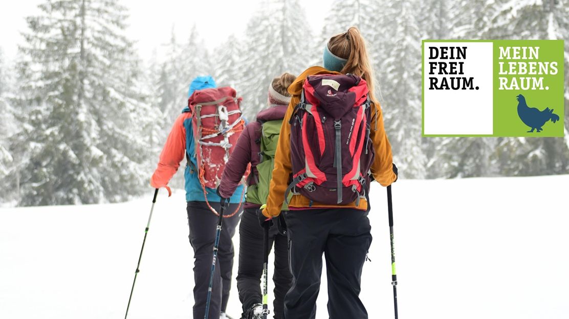 Von Gunzesrieder Säge zur Alpe  Höllritzen