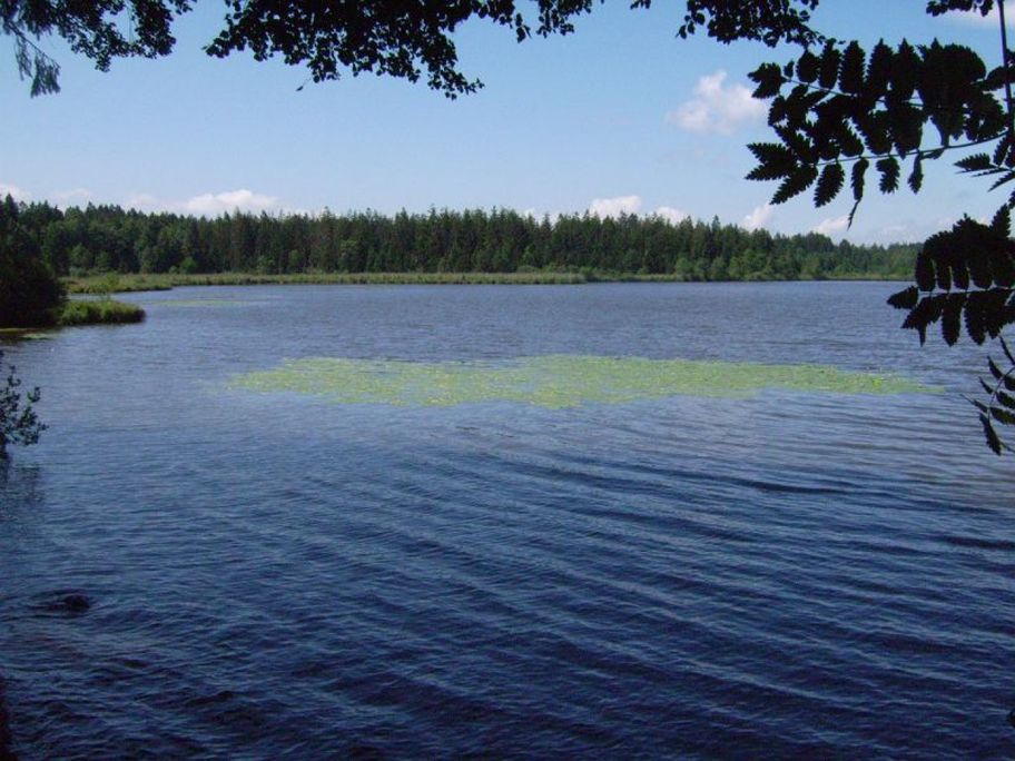 Blick auf den Holzmühleweiher