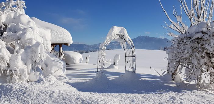 Garten im Winter