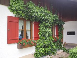 Hausdetail