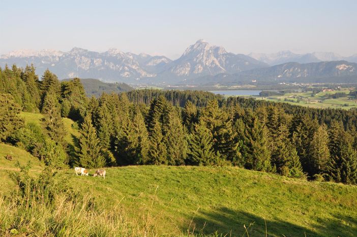 Wanderung Alpe Beichelstein