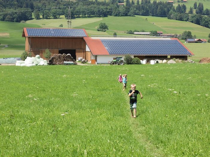 Blick vom Garten