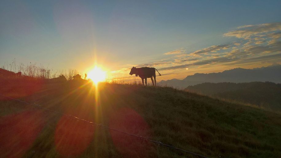 Sonnenaufgang am Riedberger Horn