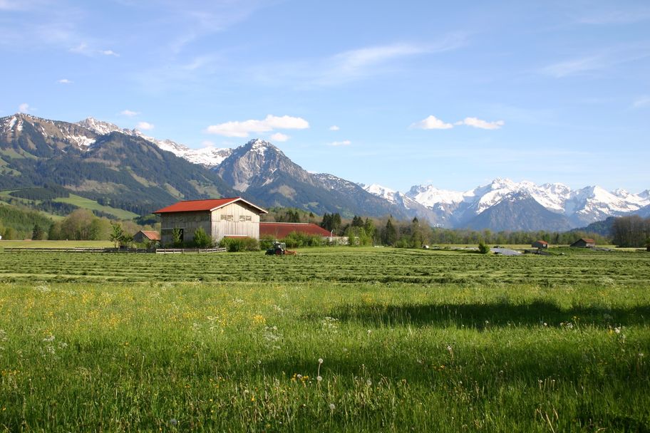 Illerauen südlich von Sonthofen