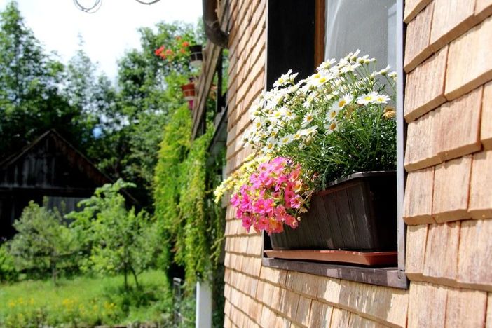 blumenkasten