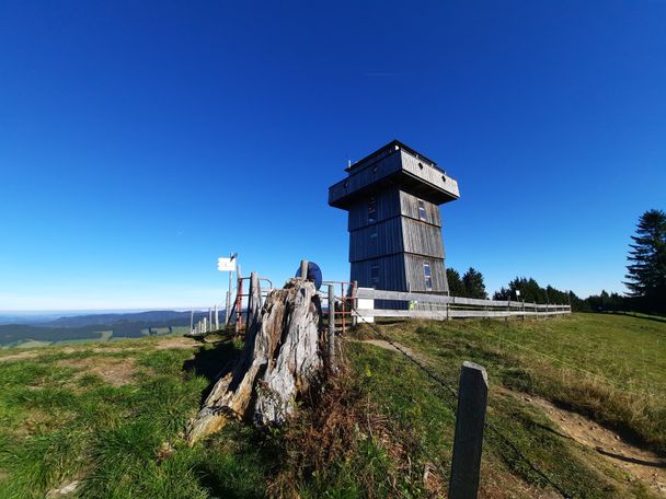 Alpkönigblick
