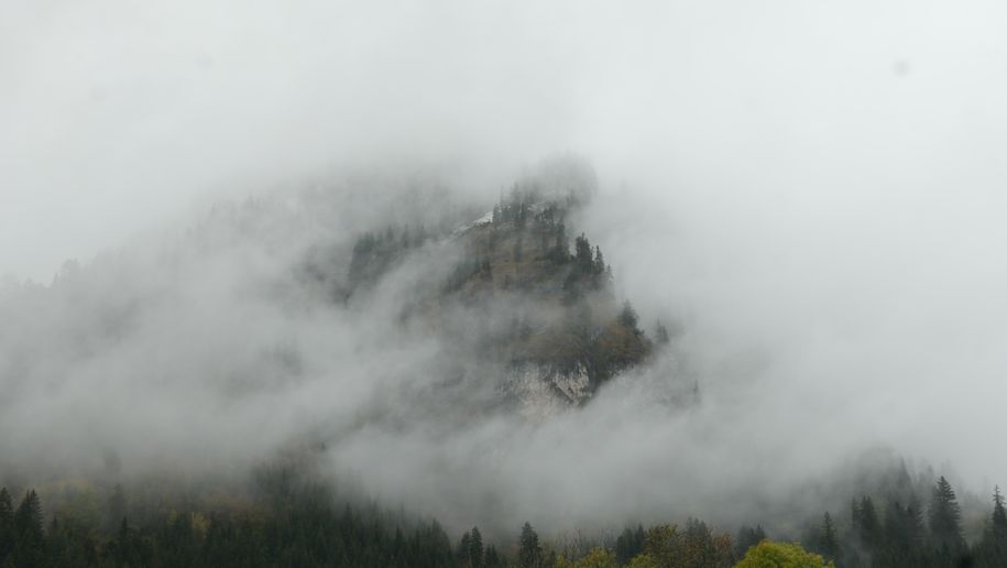 Hirschberg 3