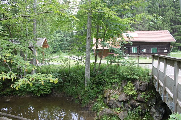 Blick auf das Waldhaus am Naturpfad Senkele