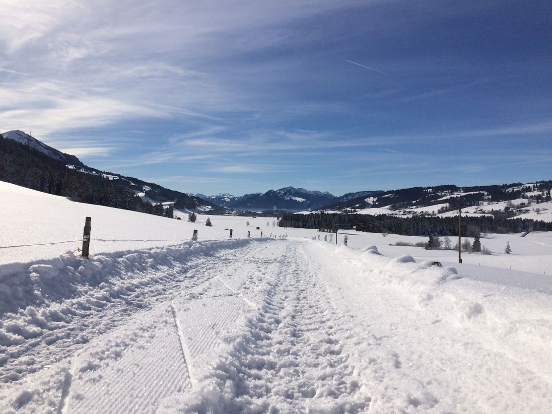 Winterwandern rund um das sonnige Emmereiser Moos