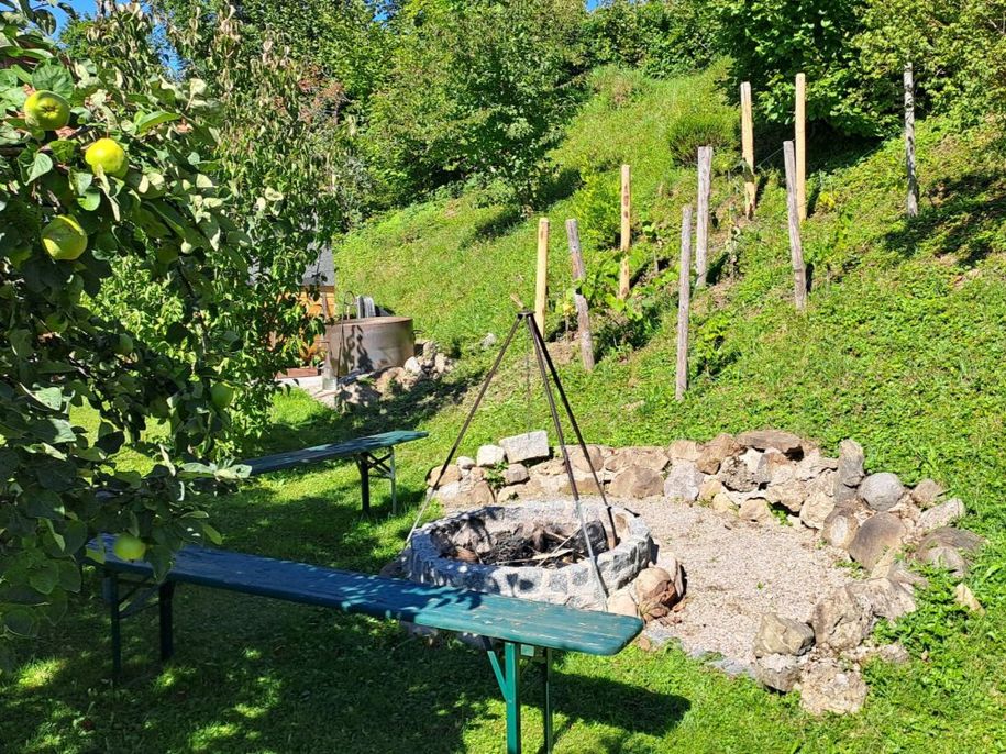 Feuerstelle Weinhang