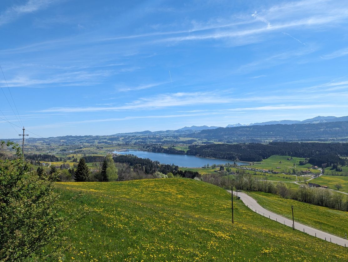 Blick auf den Niedersonthofener See auf dem Stoffelberg-Rundweg