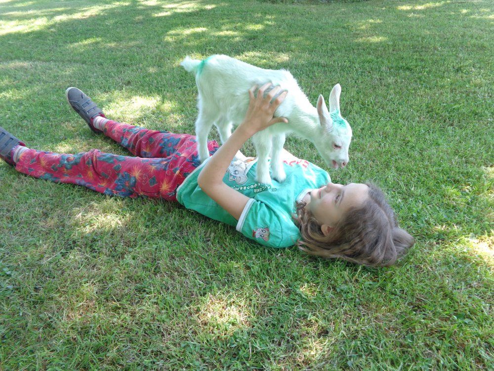 Mensch & Tier auf Du & Du