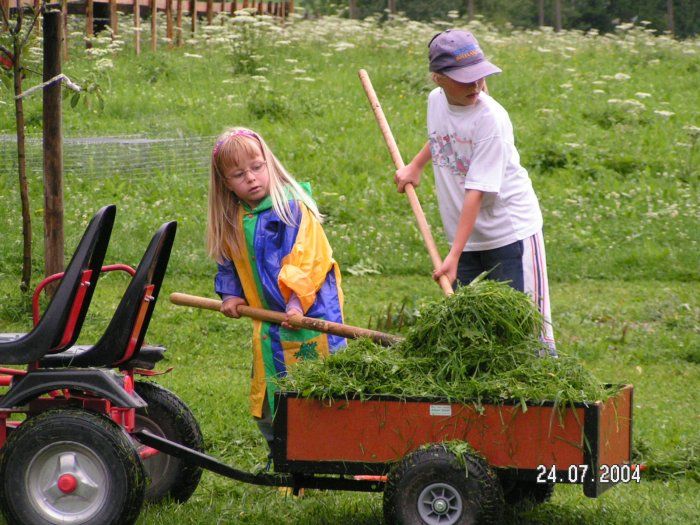 Gras holen für Kühe