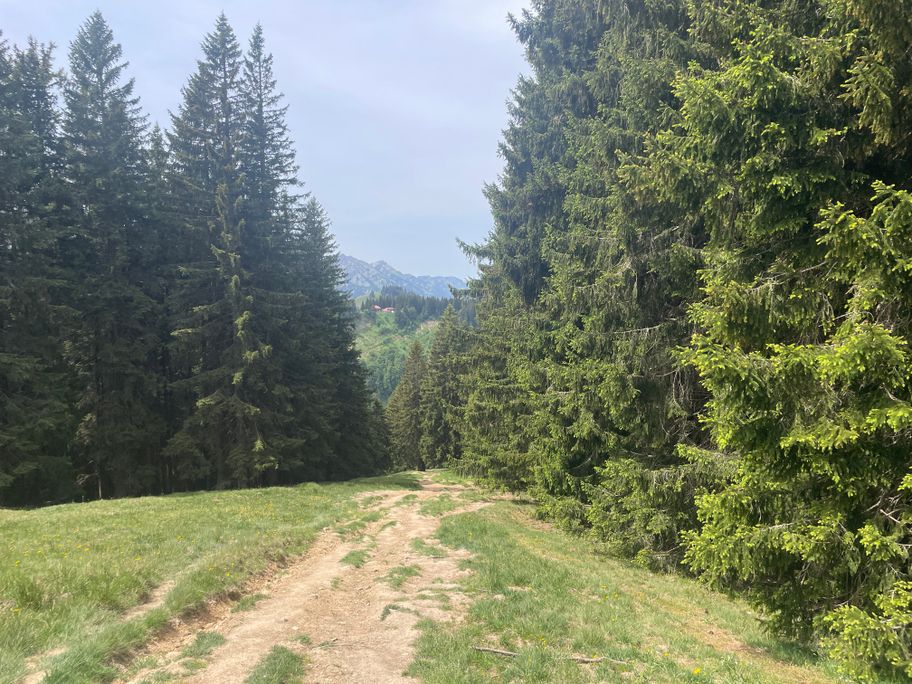 Wegeabschnitt
