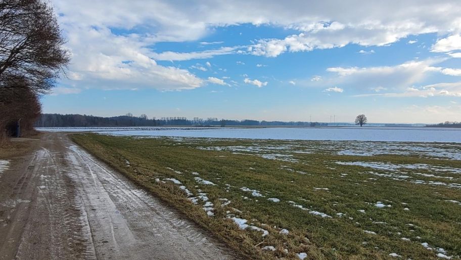 Stadtwaldrunde in Buchloe