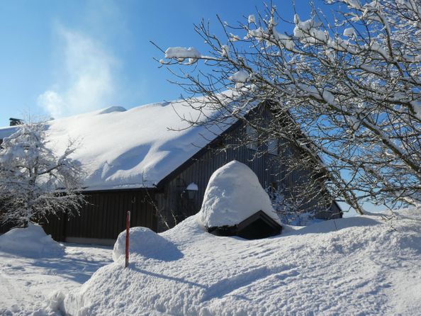 So wunderbar kann Winter sein.