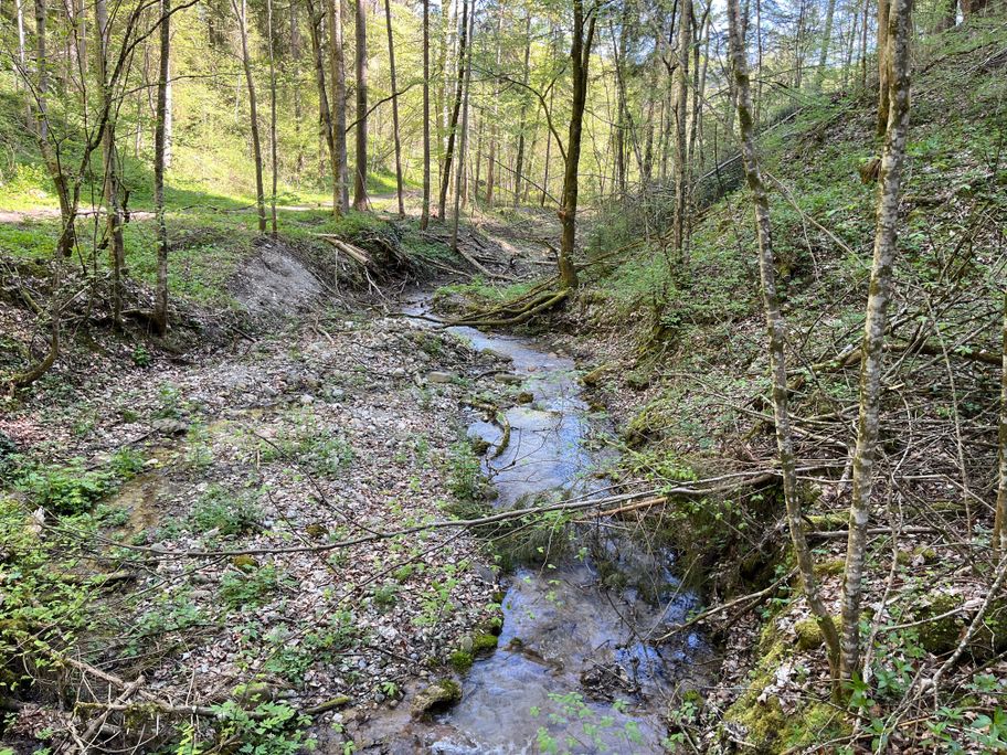 Wegeabschnitt
