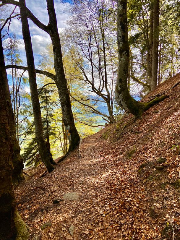 Pfad am Sigiswanger Horn