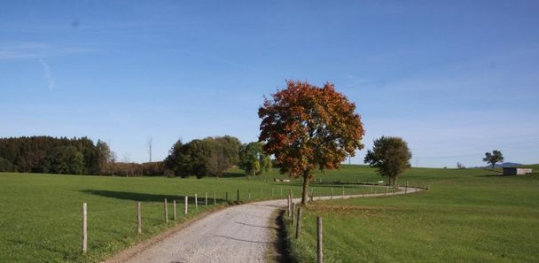 Herrliche Radwege