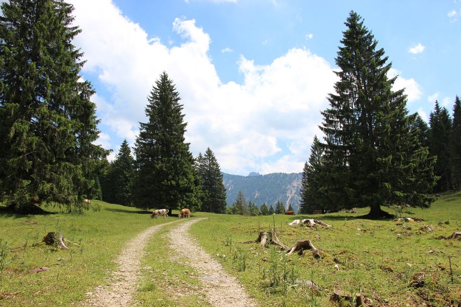 Blick ins Himmelreich