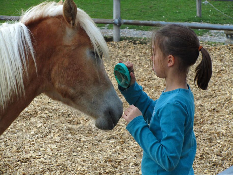 Galerie Kinder Pony