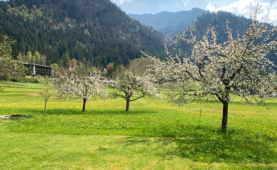Haus_ClaudiaLipp_Garten