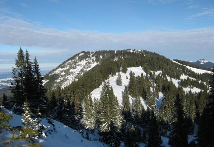 Haus Berg
